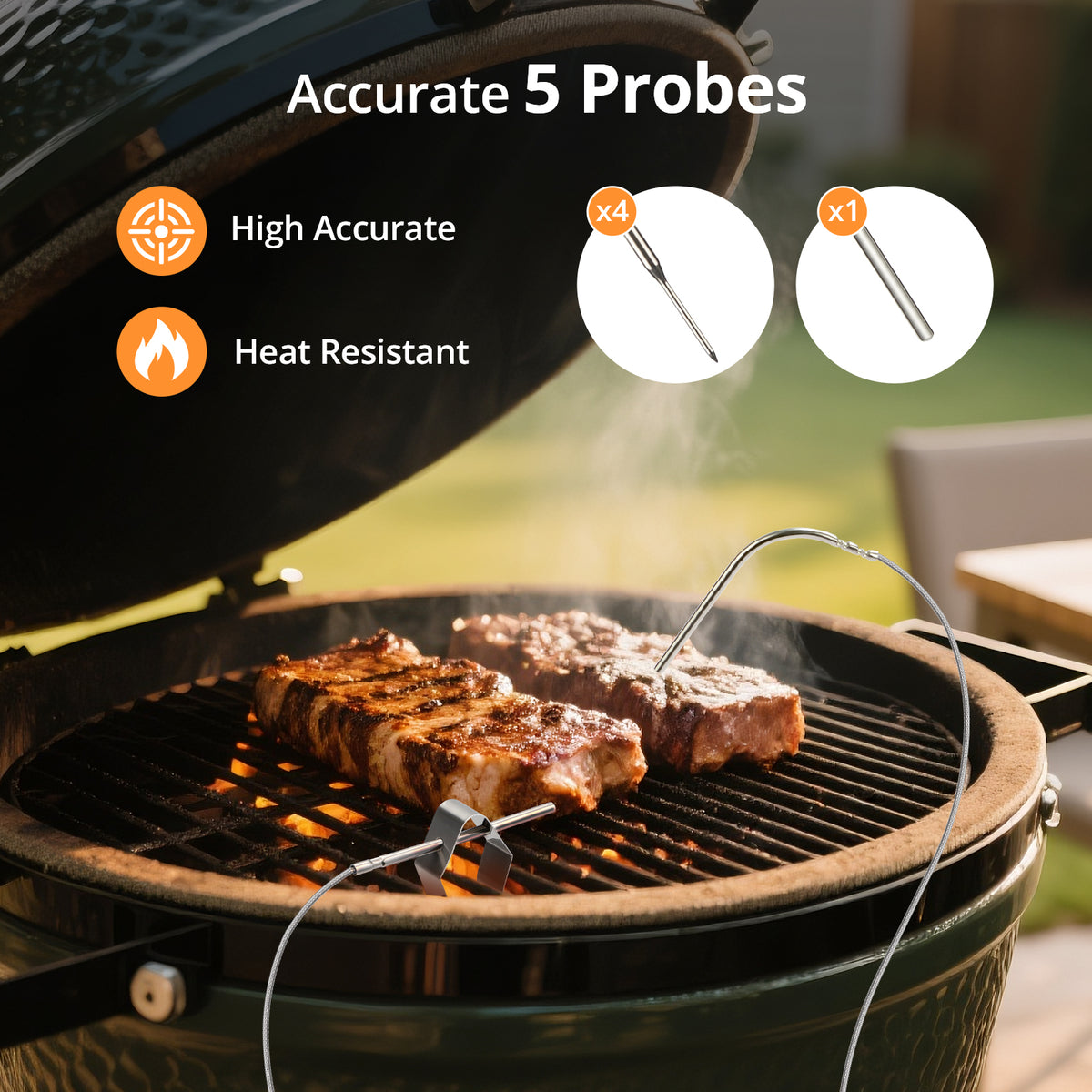 ISC-028-BW Five Precision Probes
