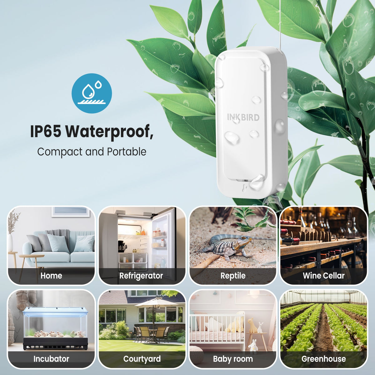 Three Bluetooth Hygrometer Thermometer Set ITH - 11 - B with WiFi Gateway IBS - M2S - B - INKBIRD