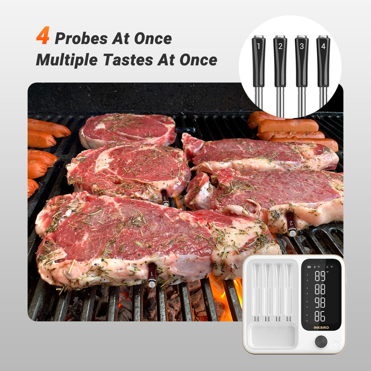 Termómetro de Carne WiFi e Bluetooth INT-14-BW