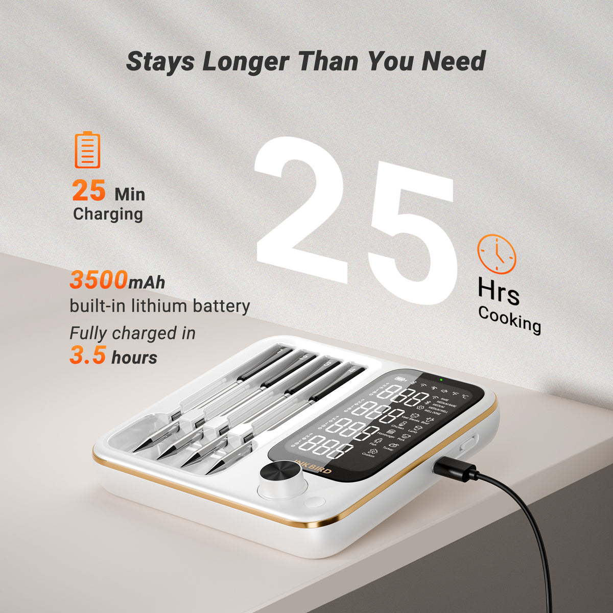 Termómetro de Carne WiFi e Bluetooth INT-14-BW