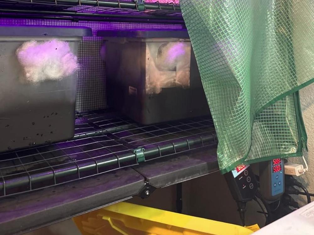 IHC-200 for Fermentation