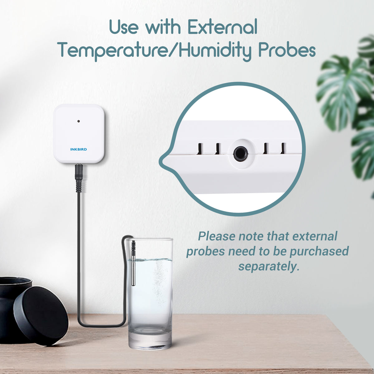 ITH-20R-O with External Temperature Humidity Probes