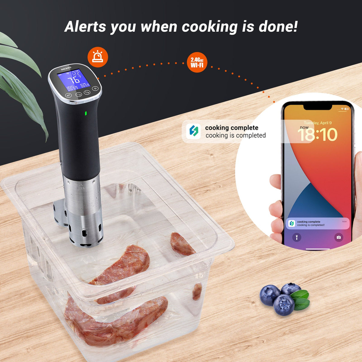 WiFi Sous Vide Cooker ISV - 300W - INKBIRD