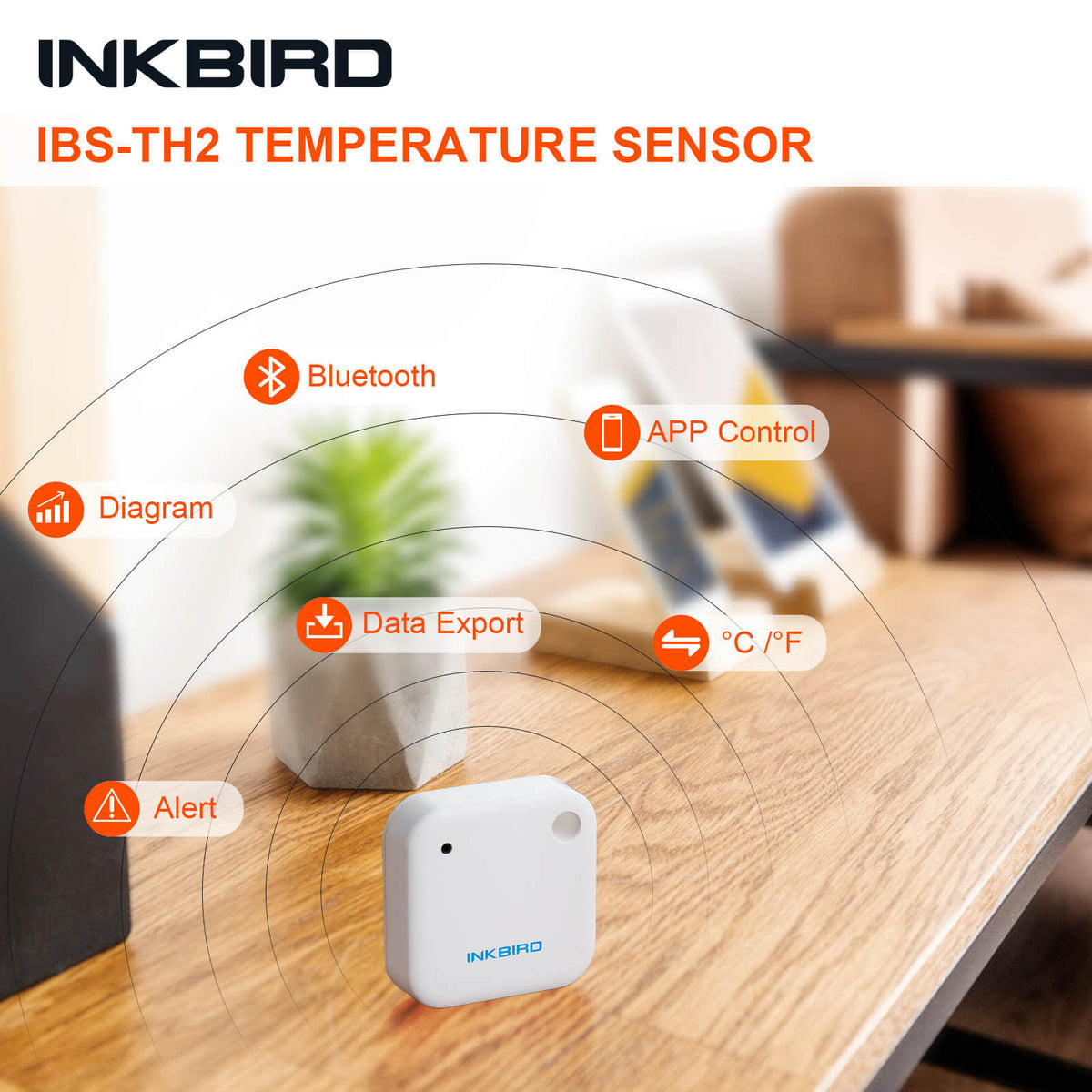 Bluetooth Hygrometer Thermometer IBS - TH2 - INKBIRD