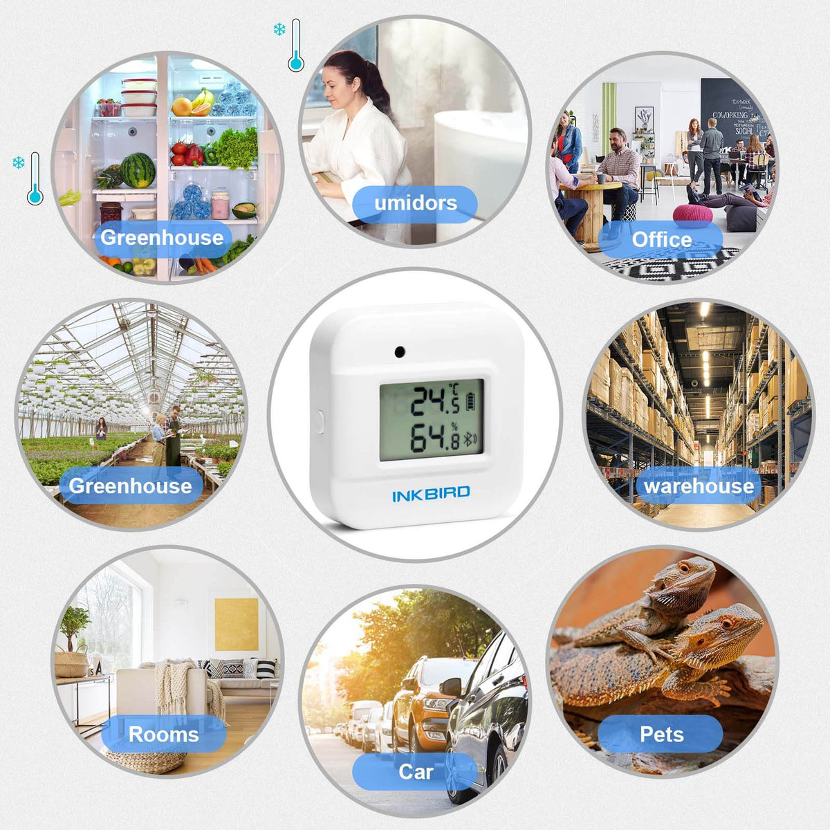 Bluetooth Hygrometer Thermometer IBS - TH2 Plus - INKBIRD