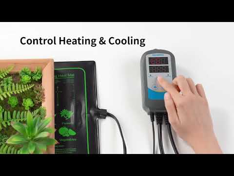 Controlador de temperatura ITC-310T-B