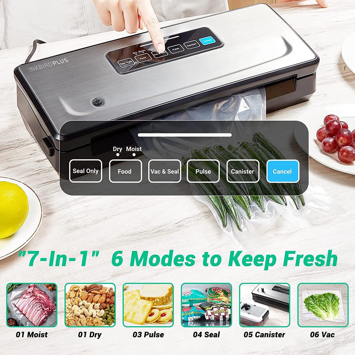Vacuum Sealer INK - VS02 - INKBIRD